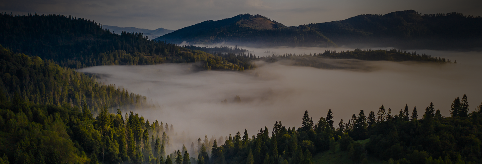 Çamsan Ordu Frequently Asked Questions