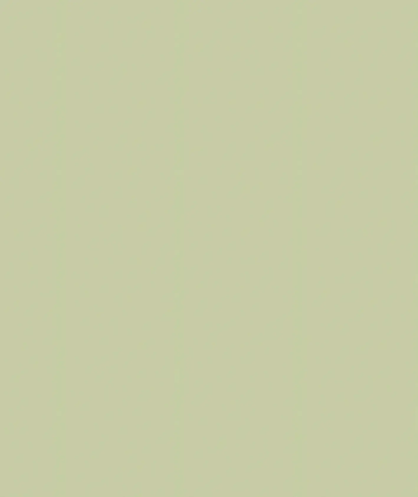 cropped_234_1