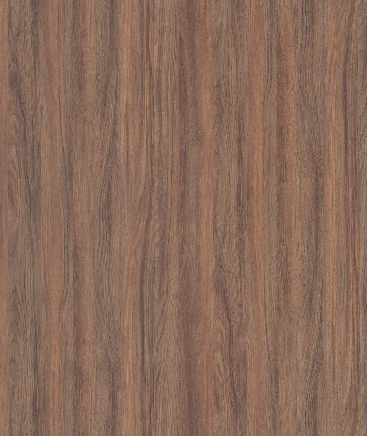 cropped_55
