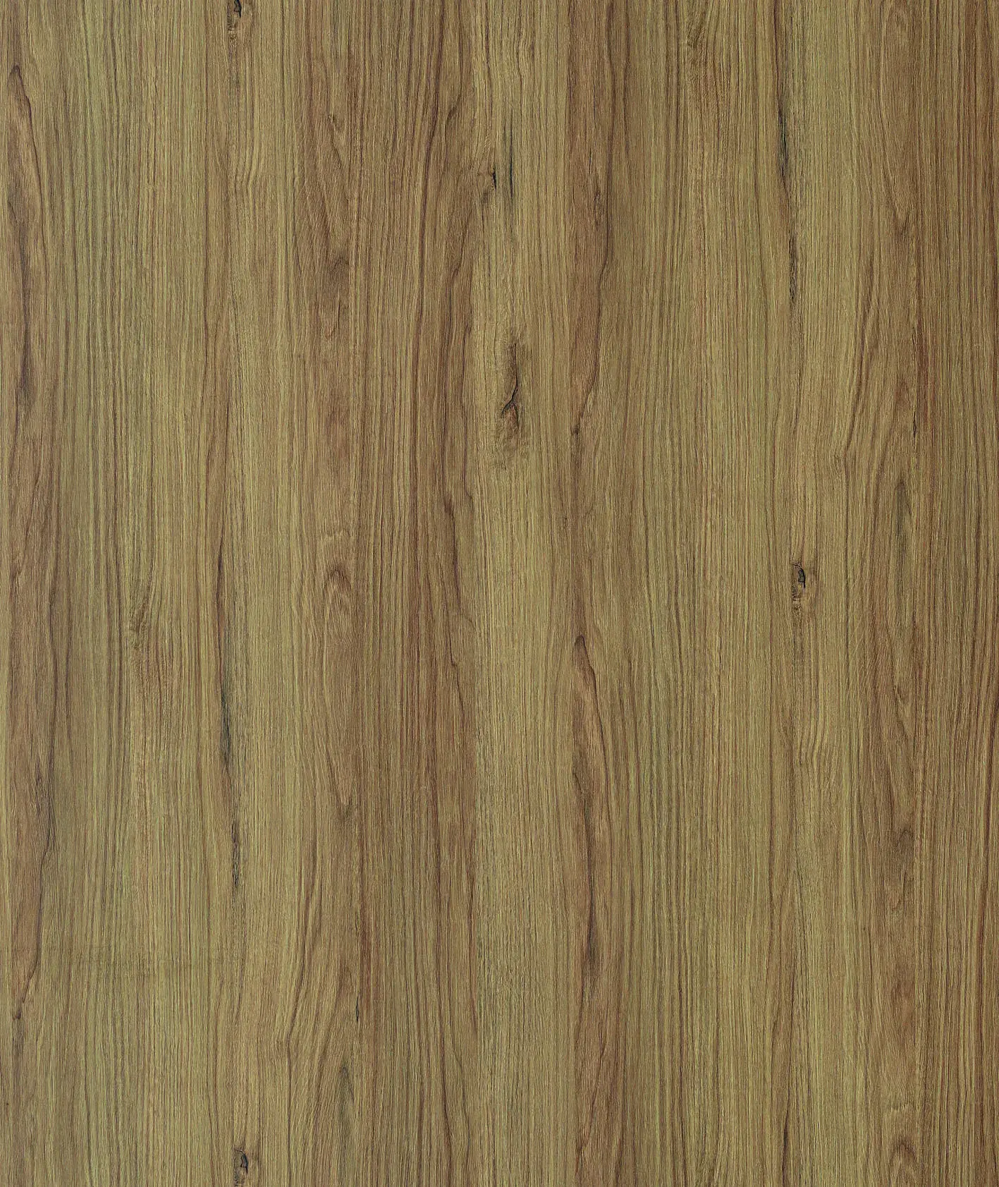 cropped_65