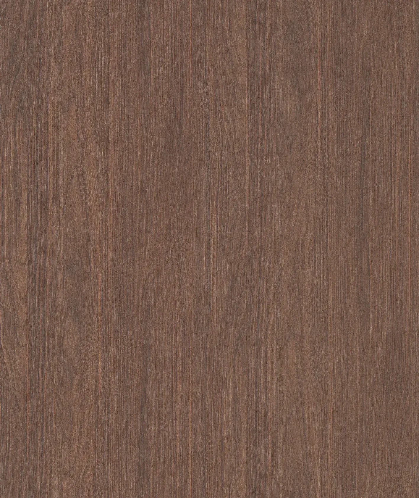 cropped_80